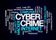 Essays on Cyber Crime
